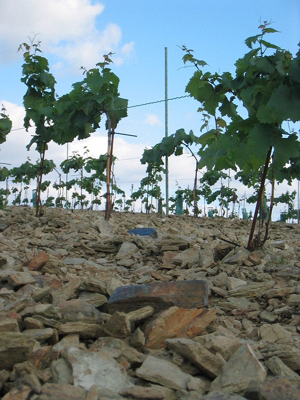 terreno vid terreno vid