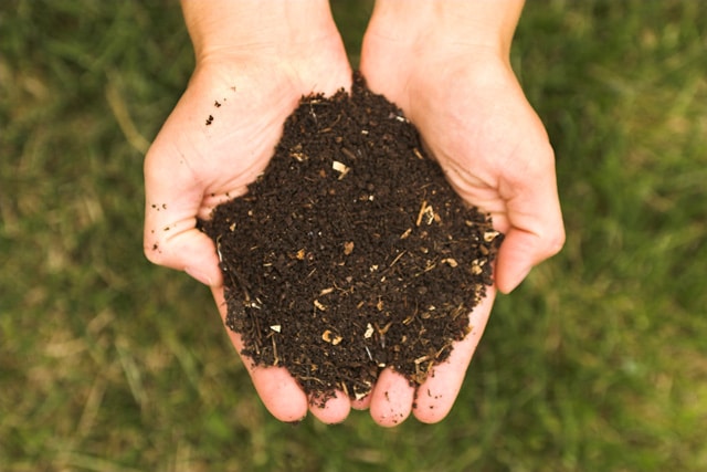 Resultado de imagen para La vida en el suelo y el humus. Tipos de compost, preparación, usos y manejos recomendados