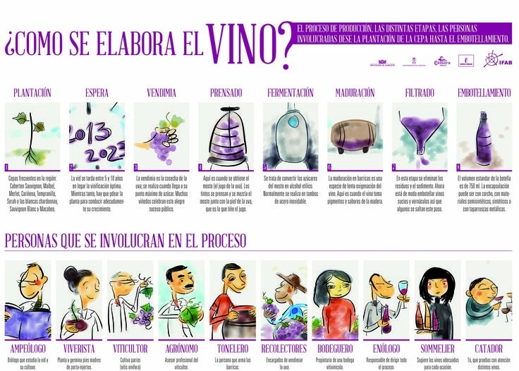 Como hacer vino tinto. El blog del Viticultor.