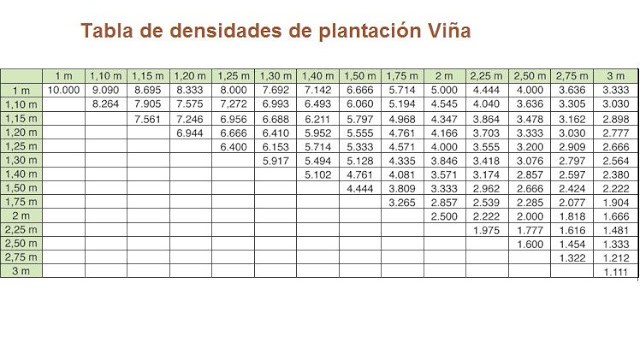 ▷ ¿Cuántas plantas caben en 1 hectárea? Calculadora de plantas ▷ ¿Cuántas plantas caben en 1 hectárea? Calculadora de plantas