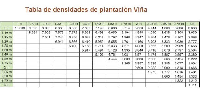 ▷ ¿Cuántas plantas caben en 1 hectárea? Calculadora de plantas