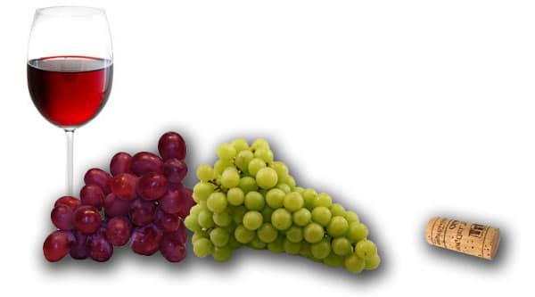 vino ecologico viticultura ecologica