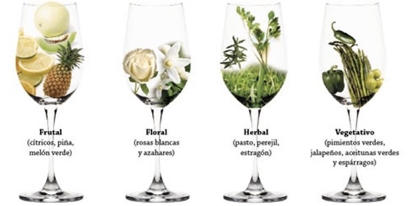 aromas del sauvignon blanc