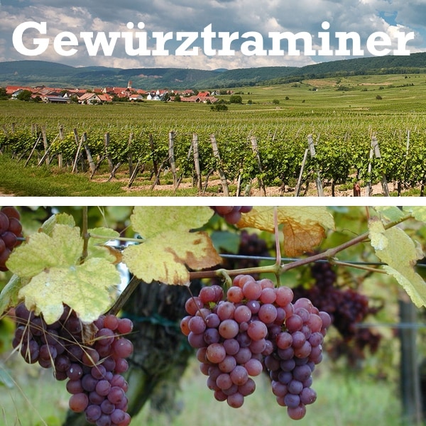 Viñas Gewürztraminer Uva