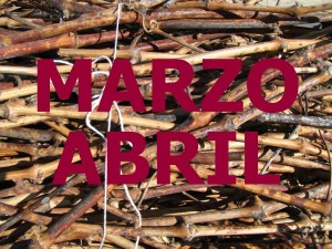 Sarmientos Marzo/Abril