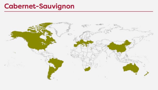 Cultivo del Cabernet Sauvignon en el mundo