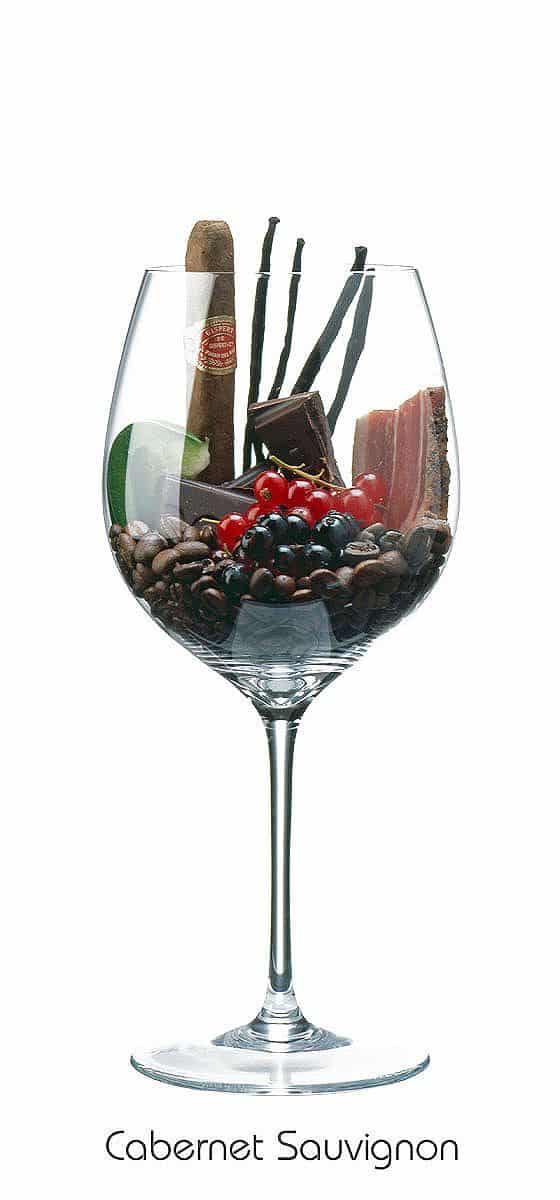 tonto Paloma Pacer Cabernet Sauvignon: Características de la uva, la cepa y el vino