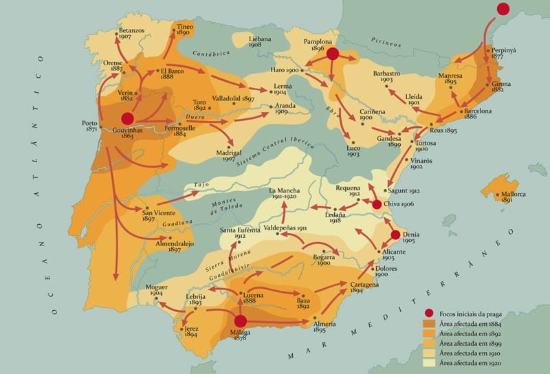 Mapa de españa con la evolucion de la filoxera de la vid