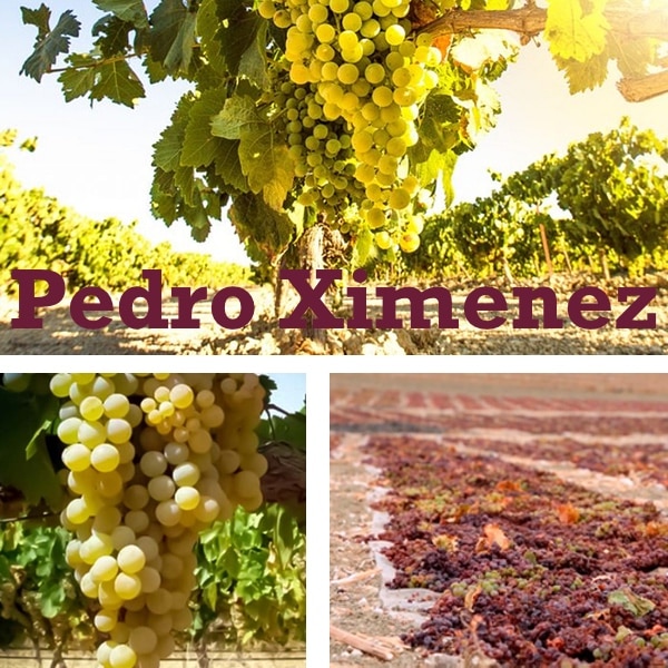 Uvas, cepas y pasificacion de la PX