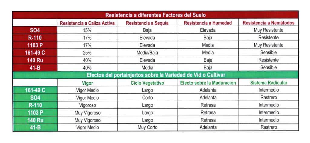 Características de los portainjertos de Vid