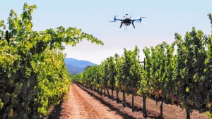 drones y viticultura