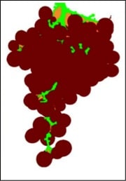 Figura 2. Ejemplo de la imagen segmentada de un racimo para determinar el porcentaje de imagen correspondiente a bayas (en rojo), raquis y pedicelos (en verde), y huecos libres (en naranja). La imagen se reproduce de Cubero et al. (2015)