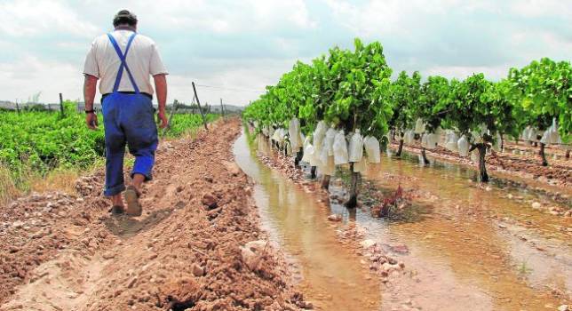 foto de agricultor riego a manta