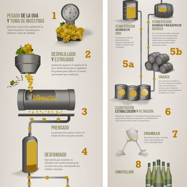 partido Republicano el estudio Oxidar ▷ ¿Cómo hacer vino Blanco?: Elaboración casera del vino.