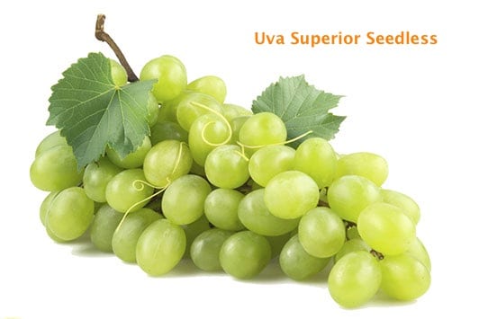 Racimo de uva Superior