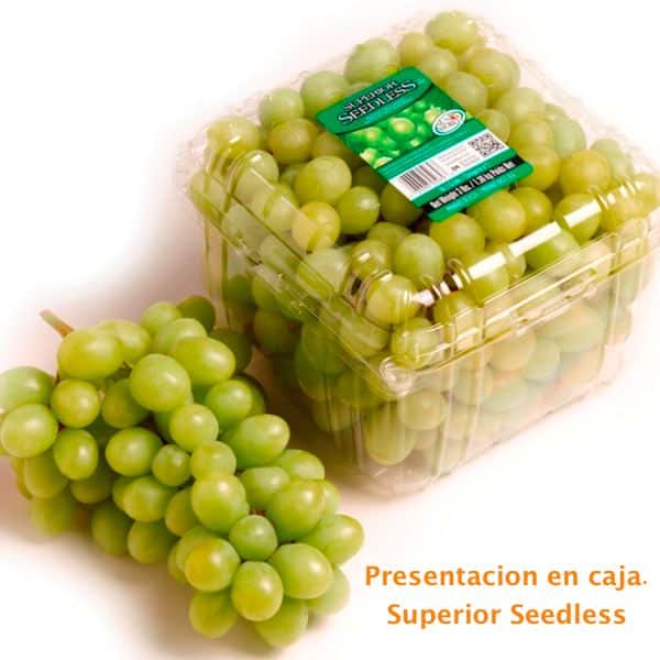 Presentacion en caja de uva superior seedless