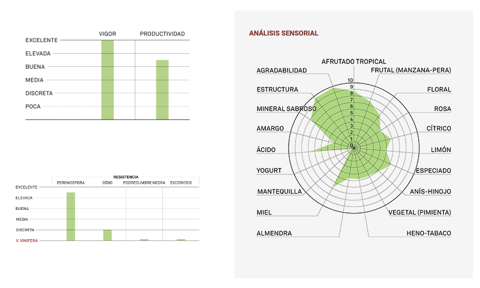 analisis sensorial sauvignon Kretos