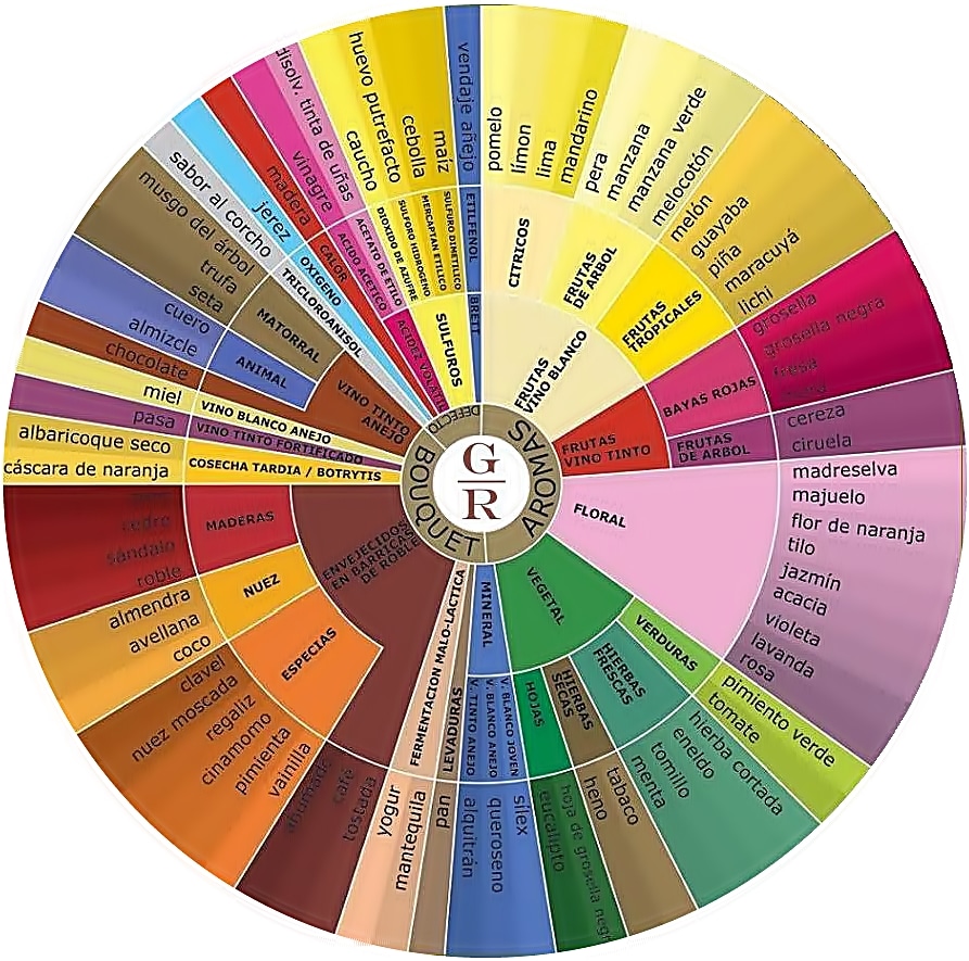 rueda de los aromas del vino
