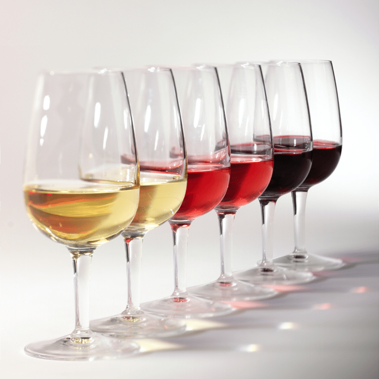 cata de vinos