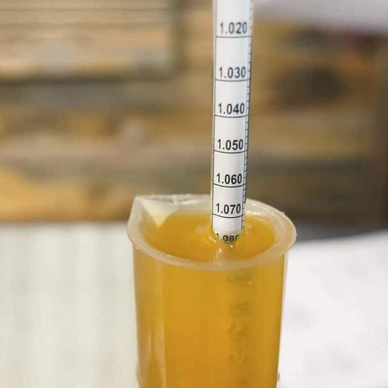 densimetro vino